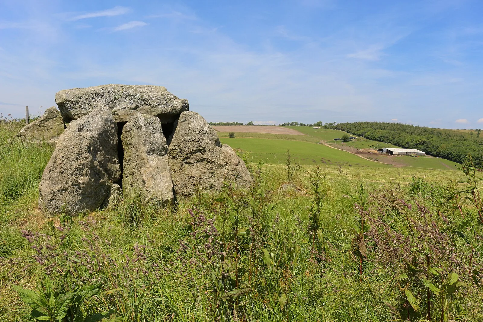 Hell Stone